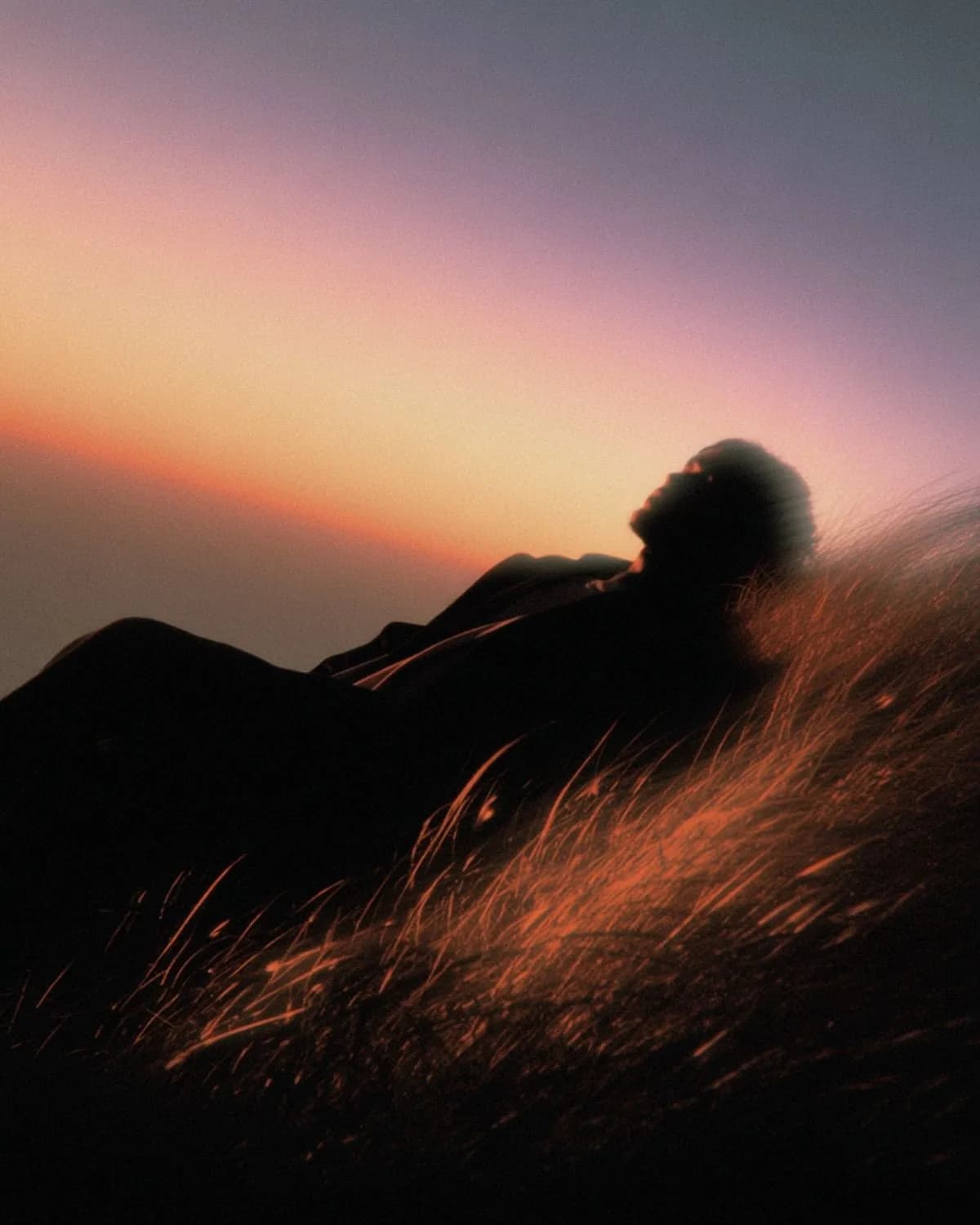 A hillside at sunset