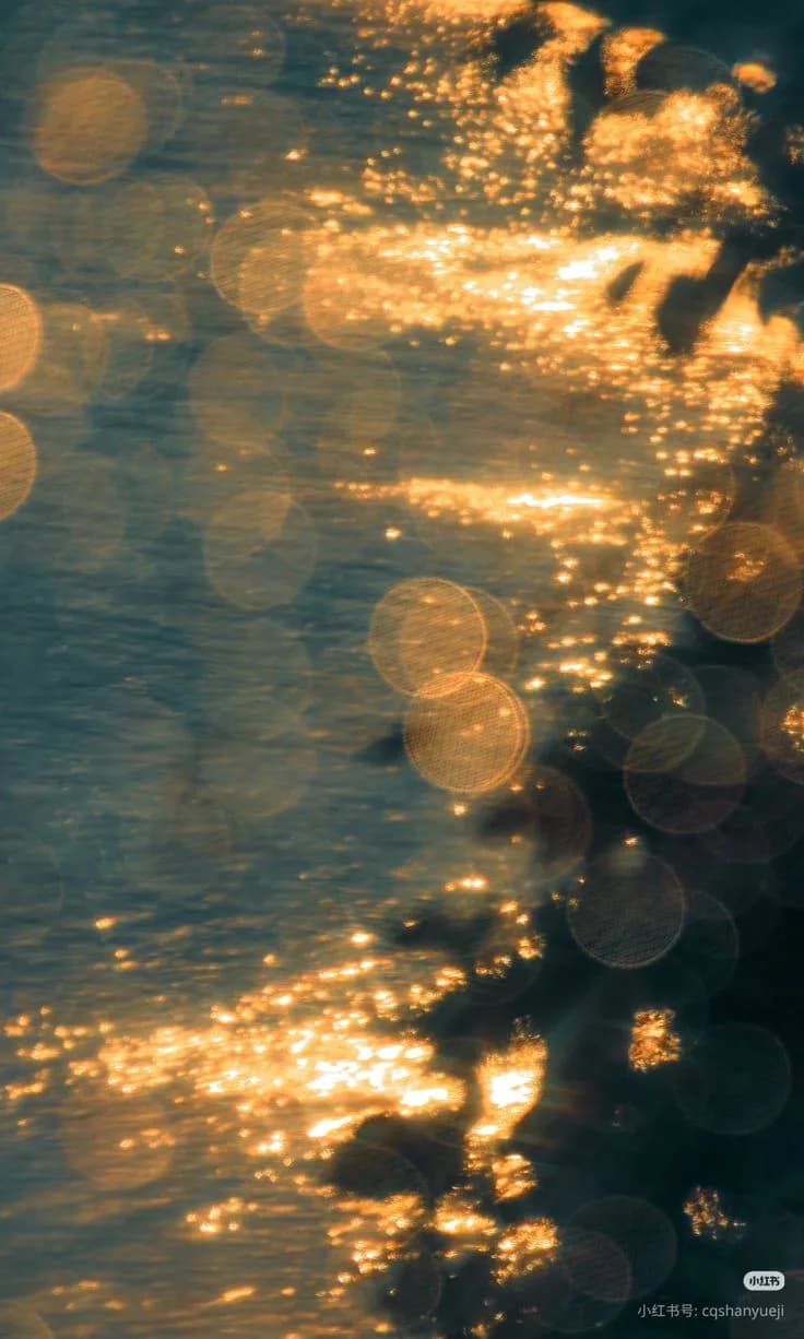 Late sun scattered across water
