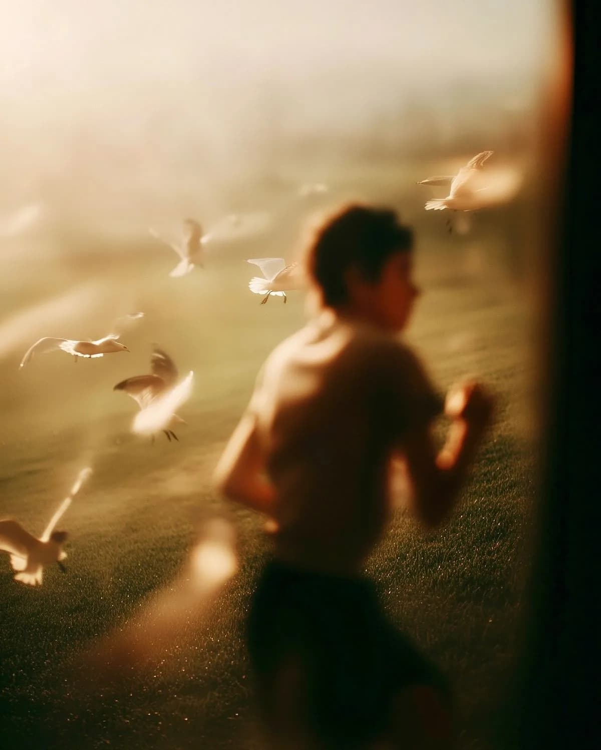 A figure running through a golden field